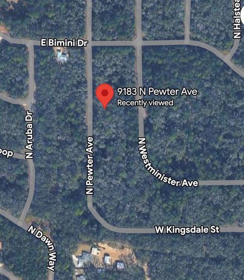 Photo of 9183 N Pewter Avenue, Dunnellon, FL 34434 (MLS # TB8507361)
