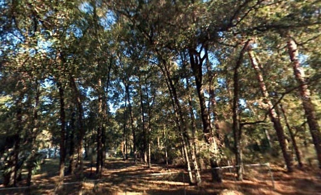 Photo of 5 SW 2nd Place, Ocala, FL 34481 (MLS # W7881363)