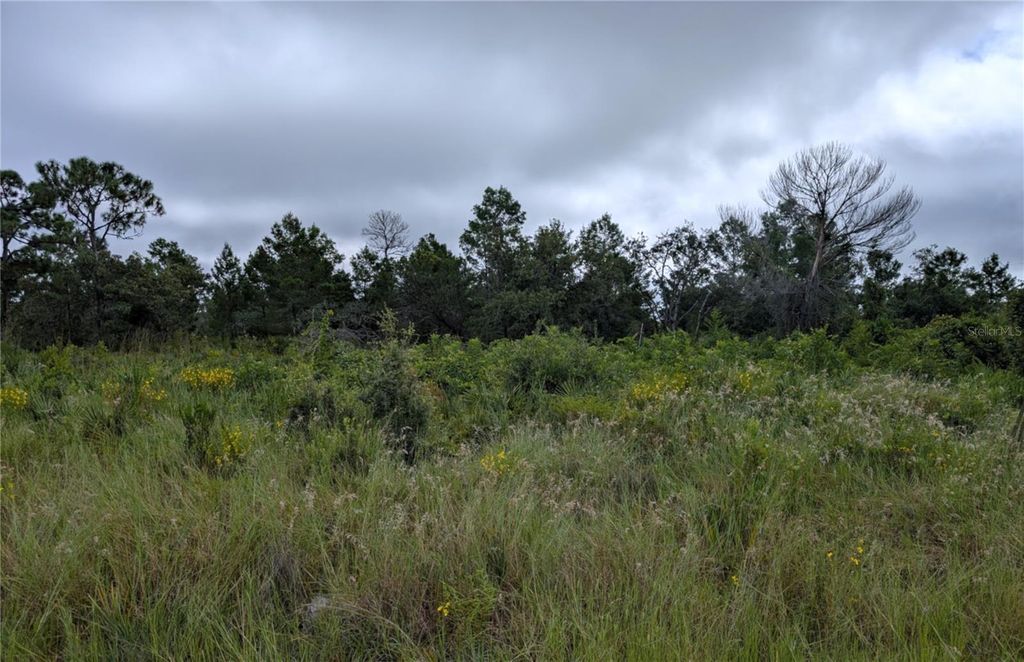 Photo of 109 Falcon Court NW, Lake Placid, FL 33852 (MLS # L4955734)