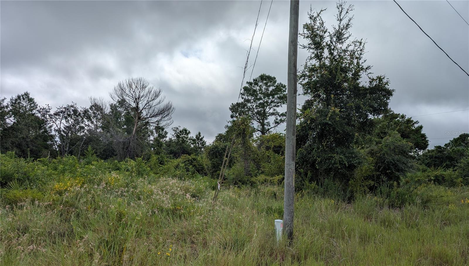 PLACID LAKES SEC 19 - Land