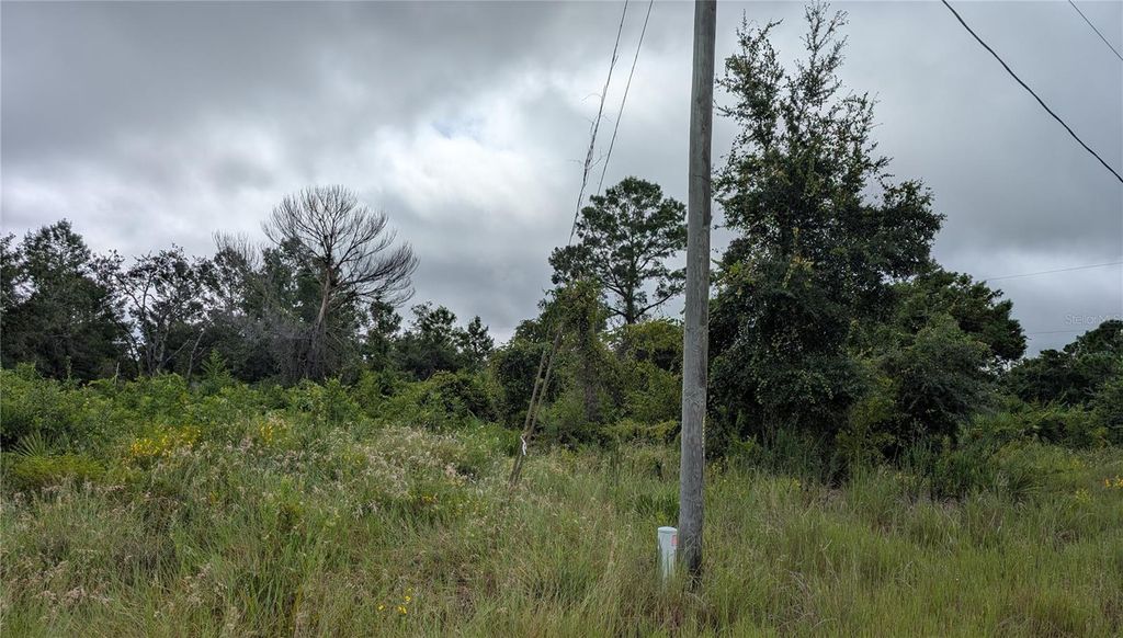 Photo of 109 Falcon Court NW, Lake Placid, FL 33852 (MLS # L4955734)