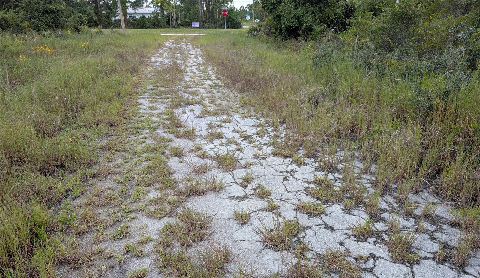 PLACID LAKES SEC 19 - Land