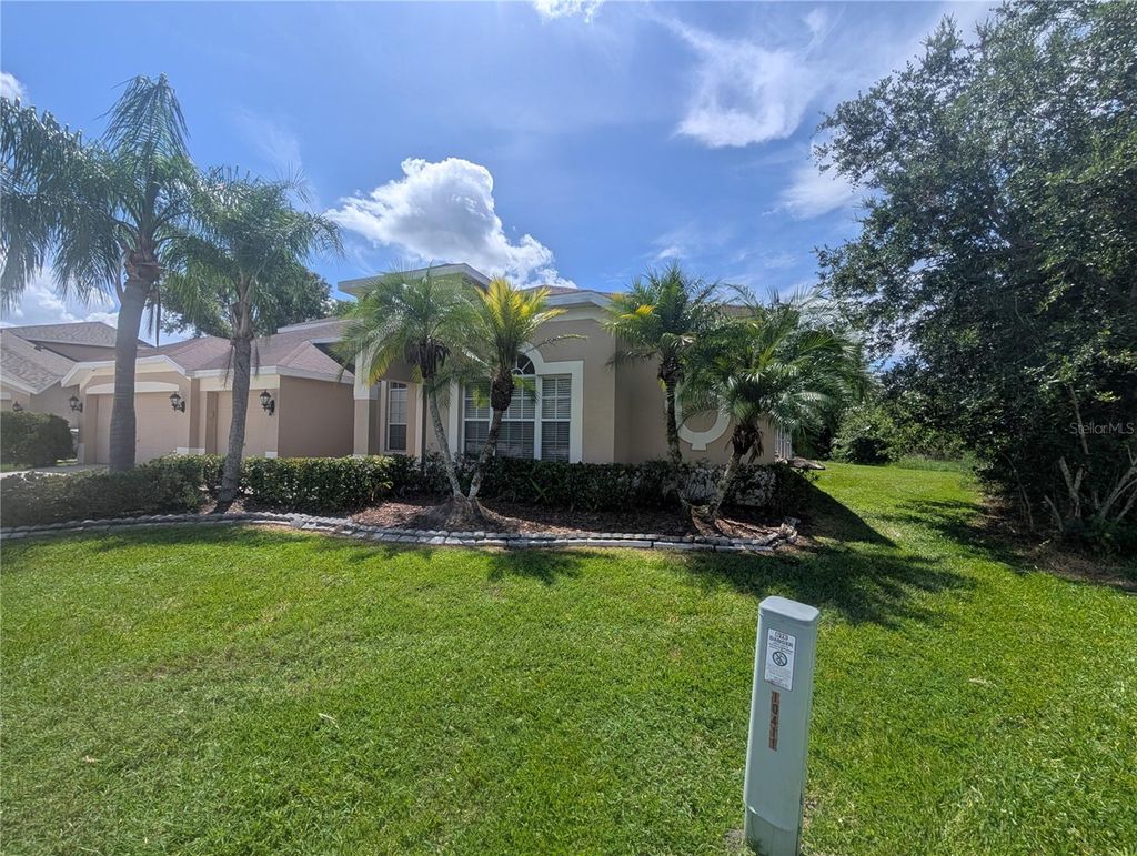 Photo of 10411 Riverburn Drive, Tampa, FL 33647 (MLS # O6335632)