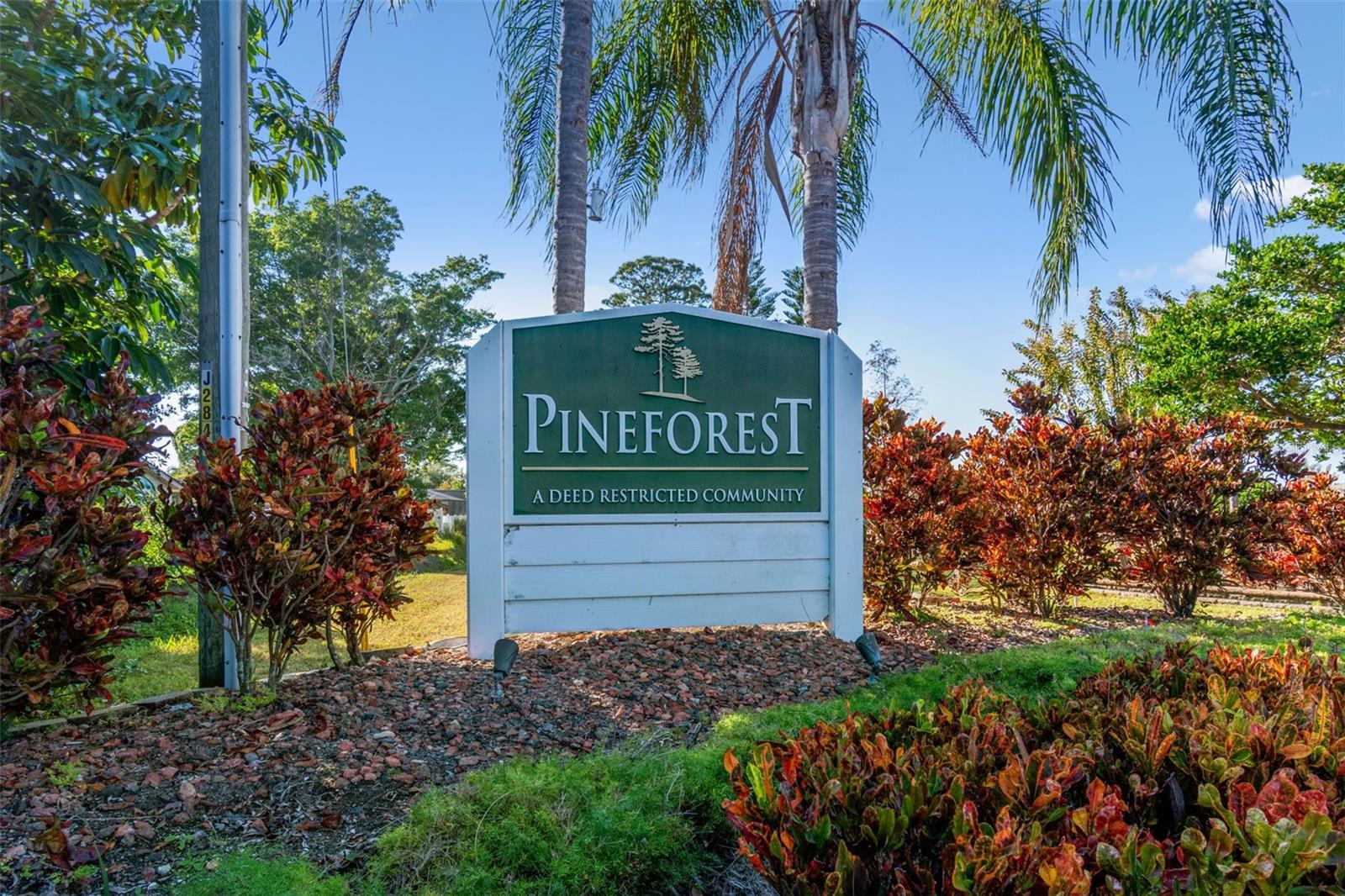 PINE FOREST - Residential