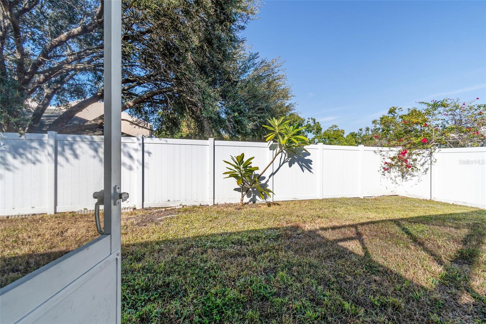 PINE FOREST - Residential