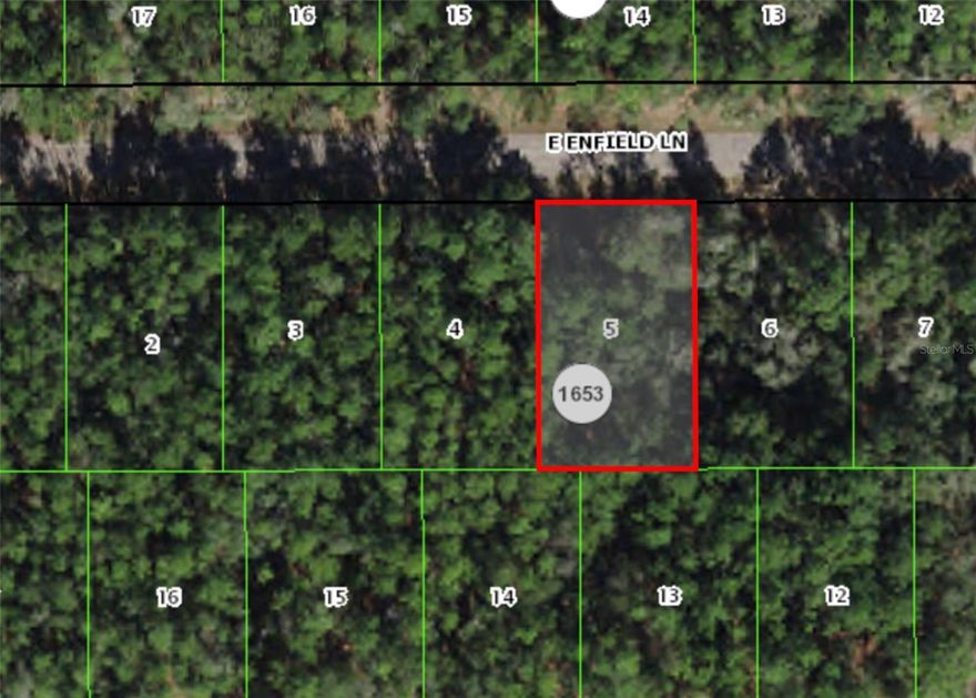 Discover the enchantment of Citrus Springs, Fl - this vacant lot is bursting with endless potential. Nestled in nature's embrace, this blank canvas is ready for you to build your dream home that you have always wanted. Lot's of shopping, medical offices, schools, natural springs, biking trails, and let's not forget about tubing or kayaking down the famous Rainbow River! It's time to seize this opportunity and make your mark on Citrus Springs. Hurry and bring your offer because this lot won't last long!
