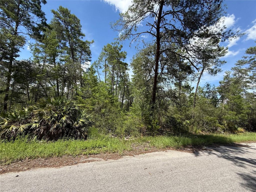 Photo of Tbd Fisher Trail Court, Ocklawaha, FL 32179 (MLS # OM705557)