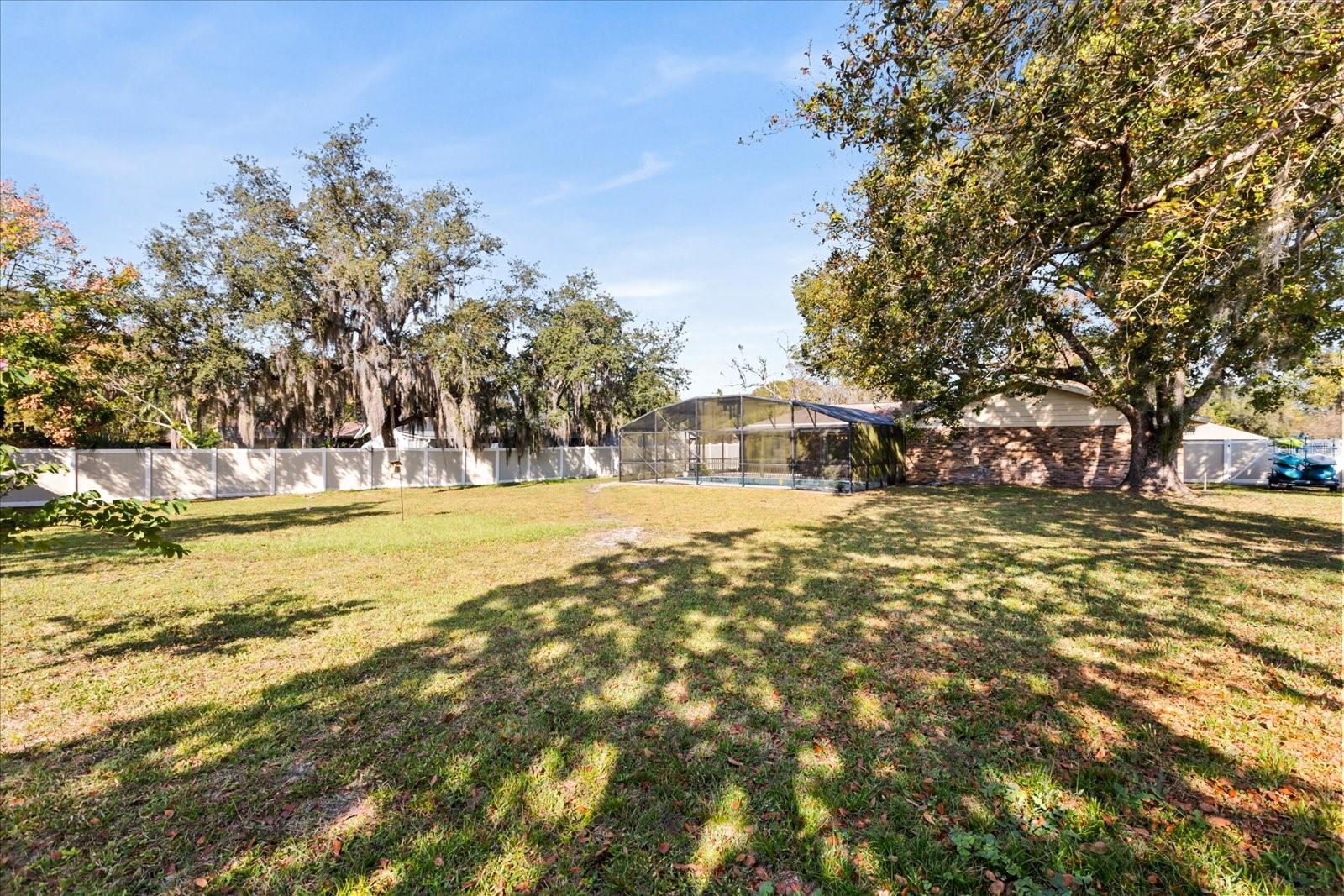 TREESHORE DEV - Residential