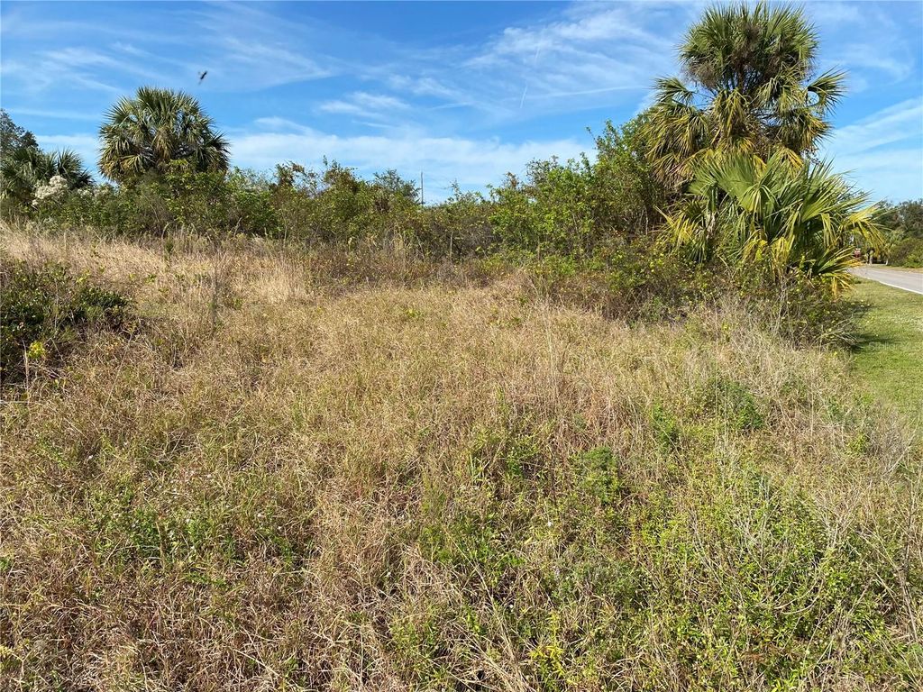 Photo of 1616 Coastal/Broadpoint Drive, Punta Gorda, FL 33983 (MLS # TB8376042)