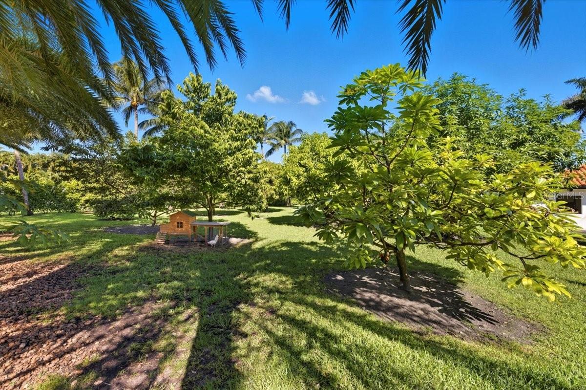 FLORIDA FRUIT LAND CO SEC 29 - Residential