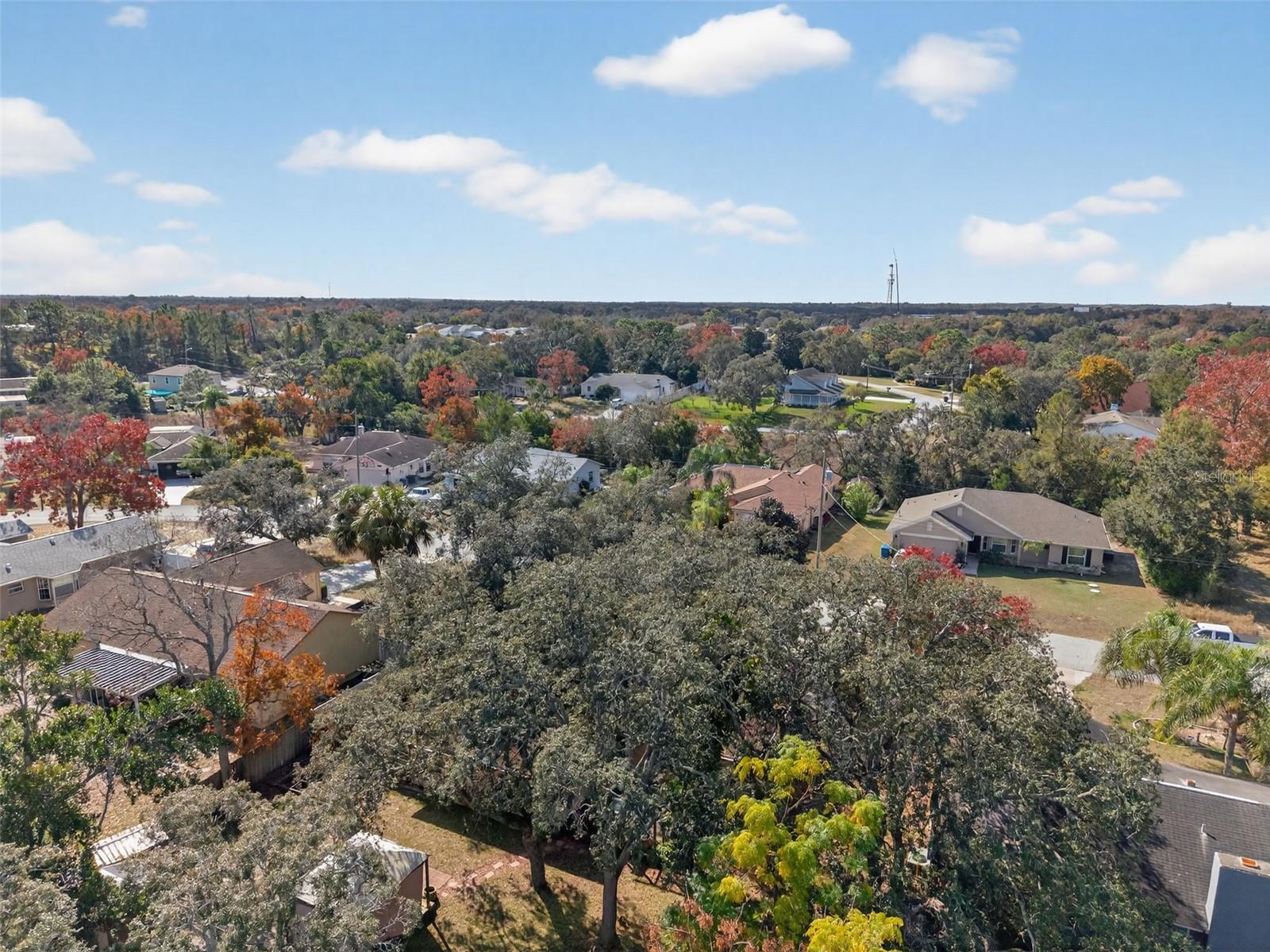 SPRING HILL - Residential