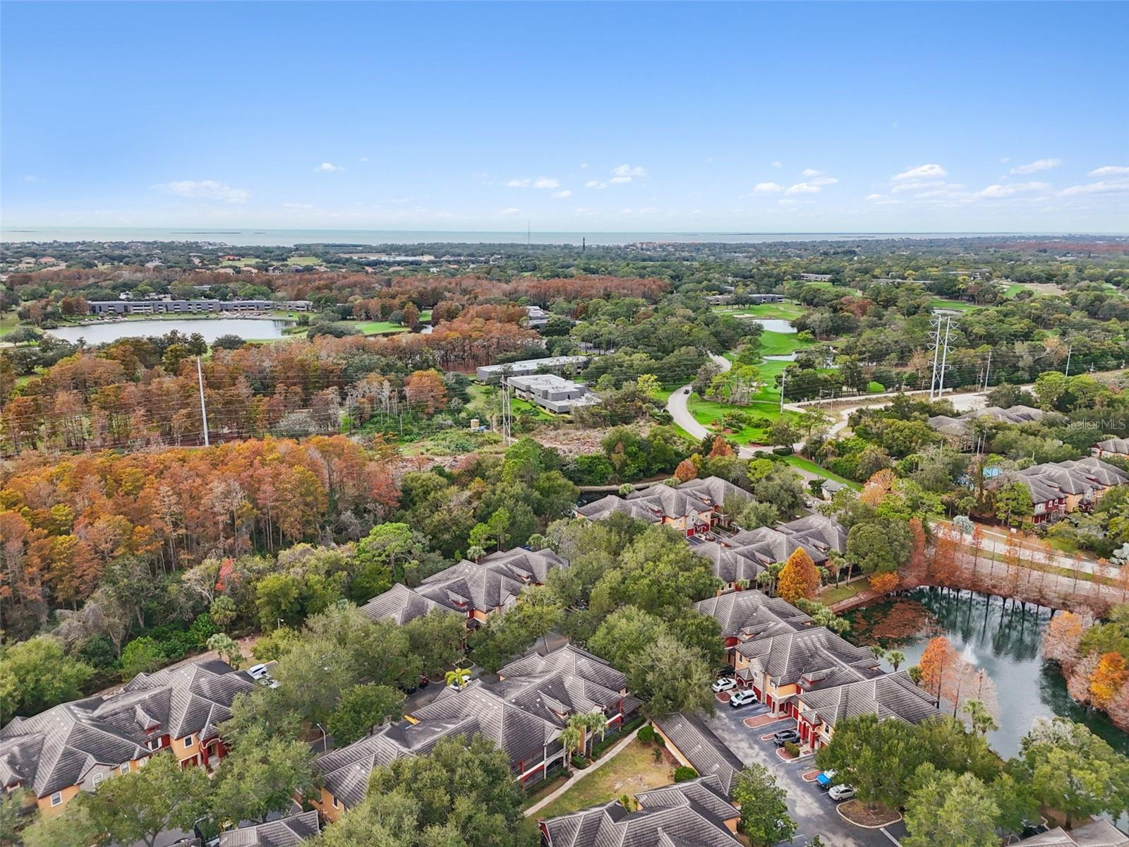 TUSCANY AT INNISBROOK CONDO - Residential Lease