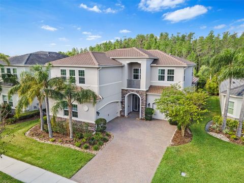 30900 SPRUCEBERRY COURT WESLEY CHAPEL FL 33543