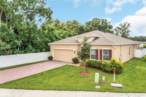 A home in MOUNT DORA