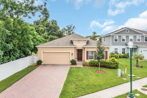 A home in MOUNT DORA