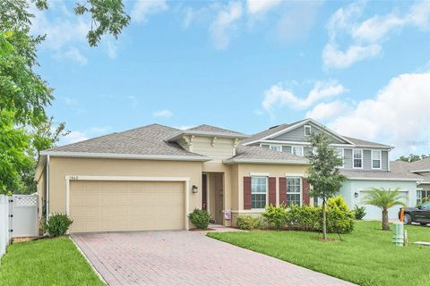 A home in MOUNT DORA