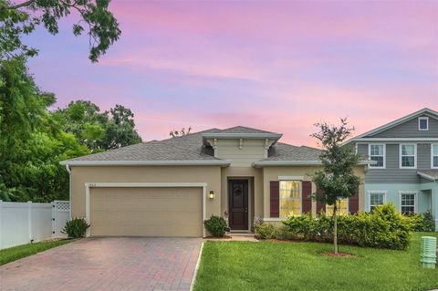 A home in MOUNT DORA