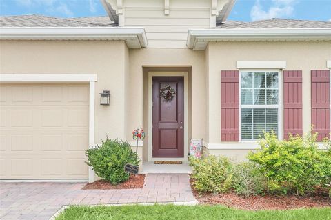 A home in MOUNT DORA