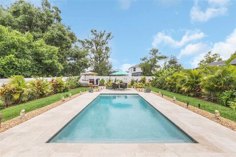 A home in MOUNT DORA