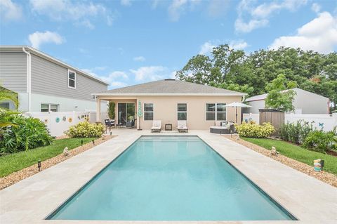 A home in MOUNT DORA