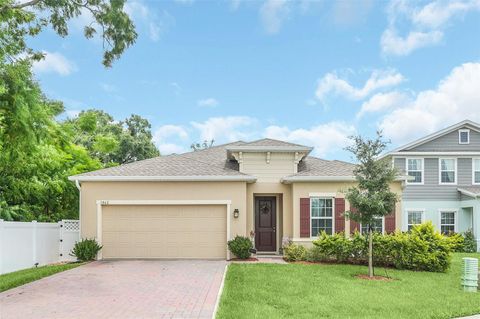 A home in MOUNT DORA