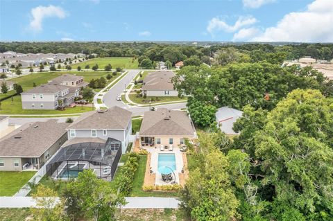 A home in MOUNT DORA