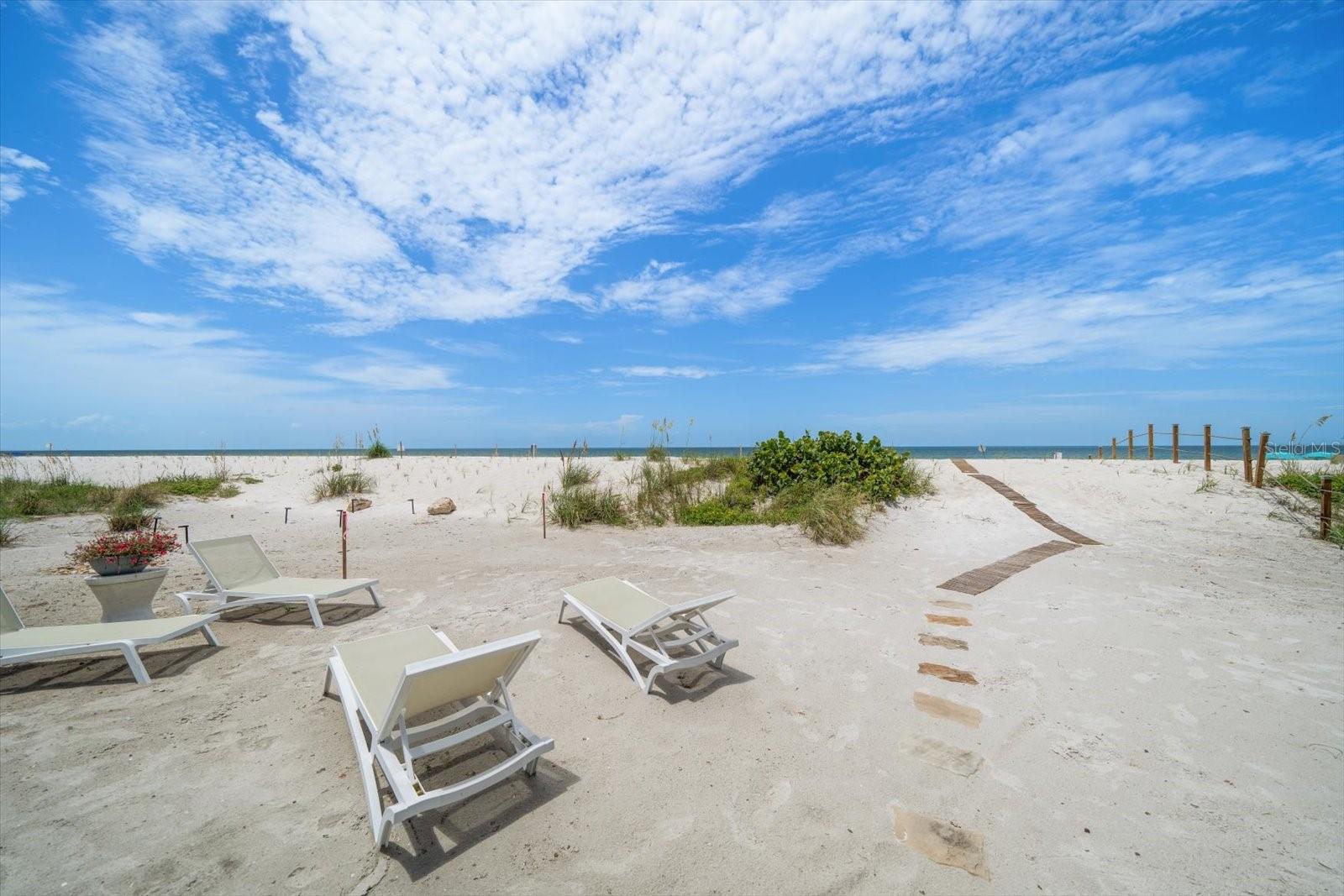 View INDIAN SHORES, FL 33785 house