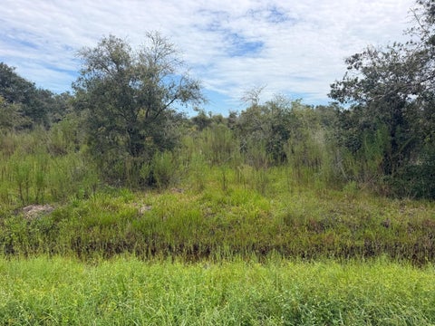 Photo of 17441 NW 254th Street, Okeechobee, FL 34972 (MLS # C7530429)