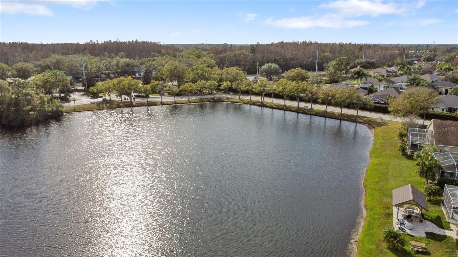 VENTANA PH 2 - Residential