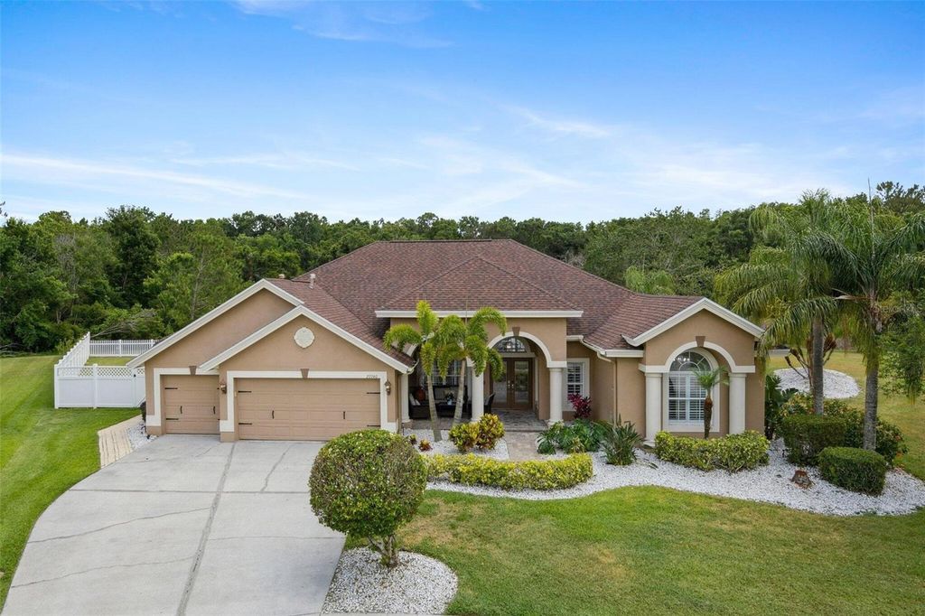 Photo of 27740 Water Ash Drive, Wesley Chapel, FL 33544 (MLS # O6339315)