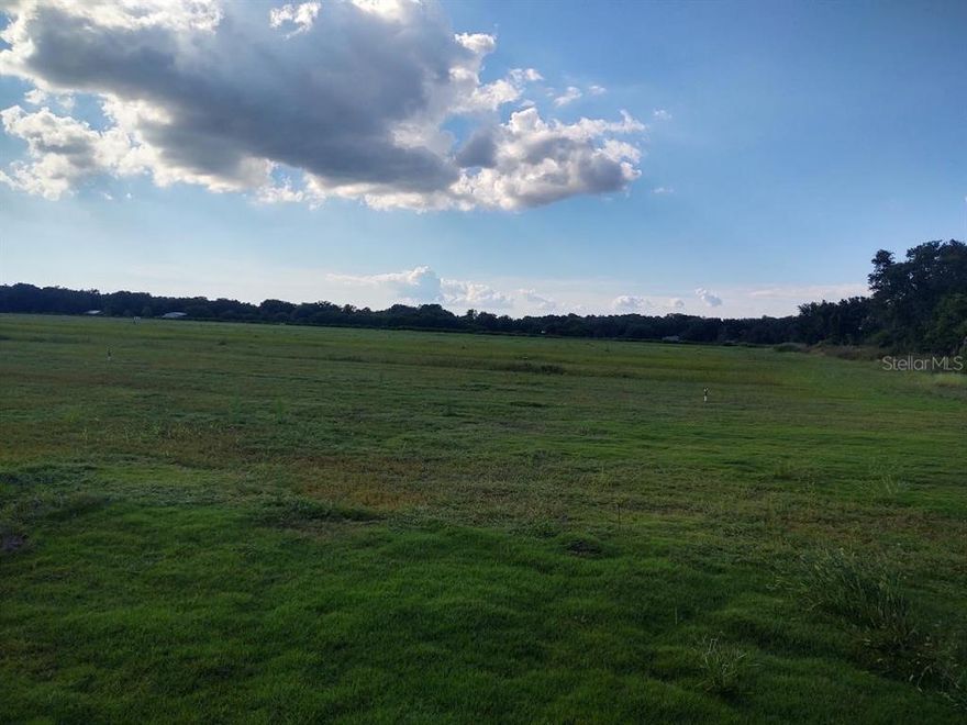 Beautiful 79 acre parcel of high and dry flood zone x land in Southeast Hillsborough county. Flat cleared land with irrigation system installed. There is also a 30x30 metal building with electric. Close to shopping and restaurants and lots of new development. This land is bordered on the south by county owned Little Manatee river. It can be farmed or your own private ranch. Neighboring development lots are min .5 acre.