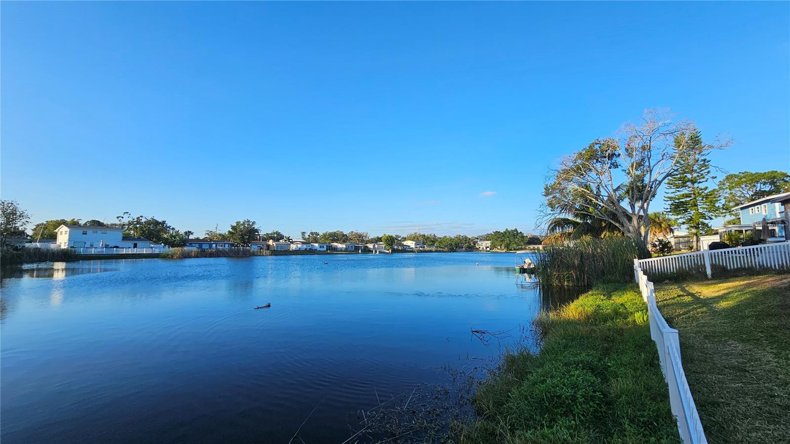 WINSTON PARK - Residential