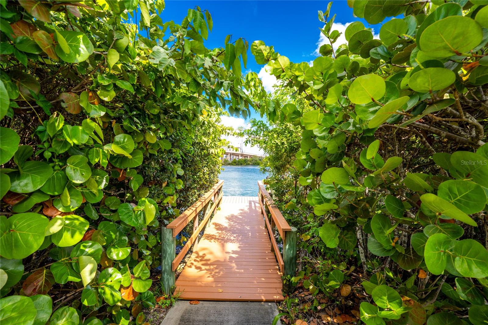 THE WATERFRONT ON VENICE ISLND - Residential