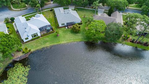 A home in MOUNT DORA