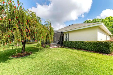 A home in MOUNT DORA