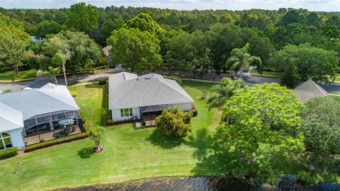 A home in MOUNT DORA