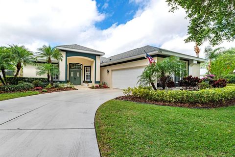 A home in MOUNT DORA