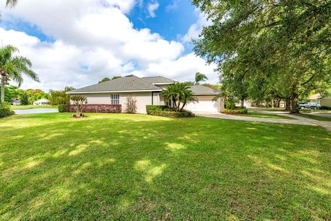 A home in MOUNT DORA