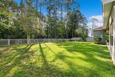 A home in PALM COAST