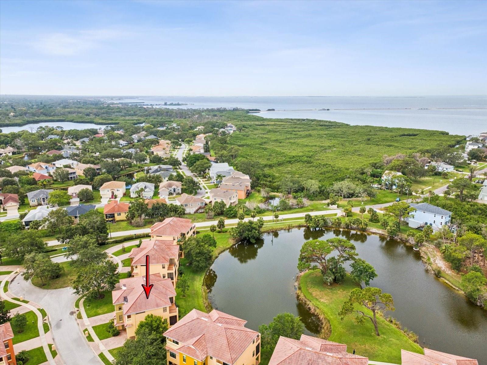 SUNSET BAY TARPON SPGS - Residential Lease