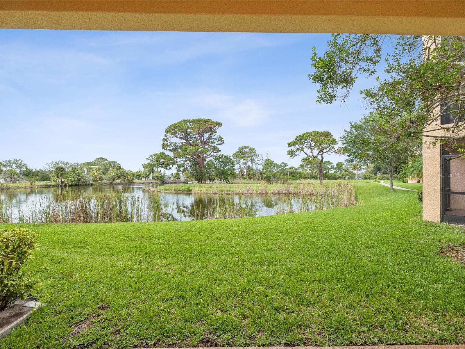 SUNSET BAY TARPON SPGS - Residential Lease
