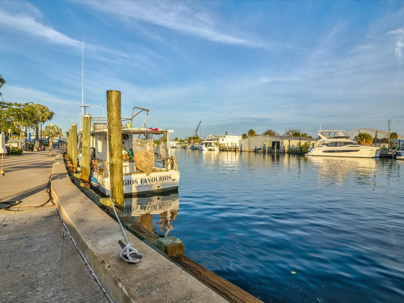 SUNSET BAY TARPON SPGS - Residential Lease