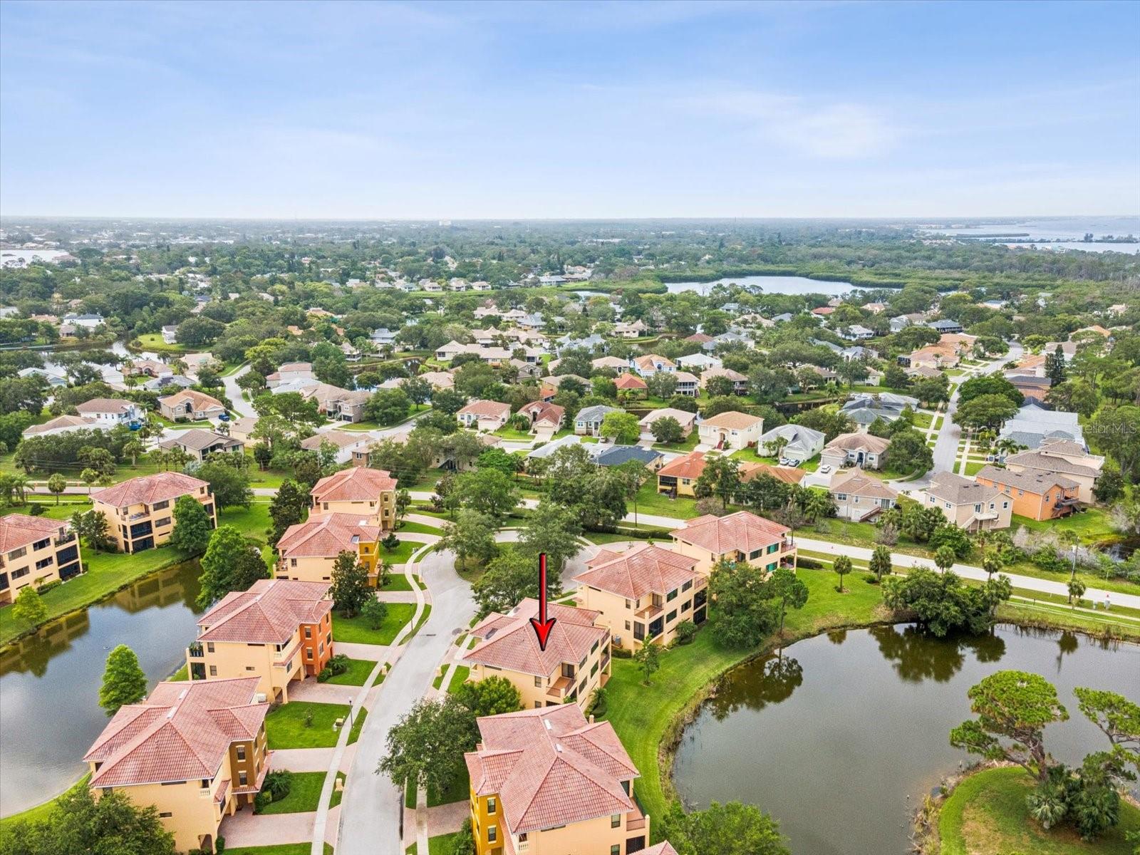 SUNSET BAY TARPON SPGS - Residential Lease
