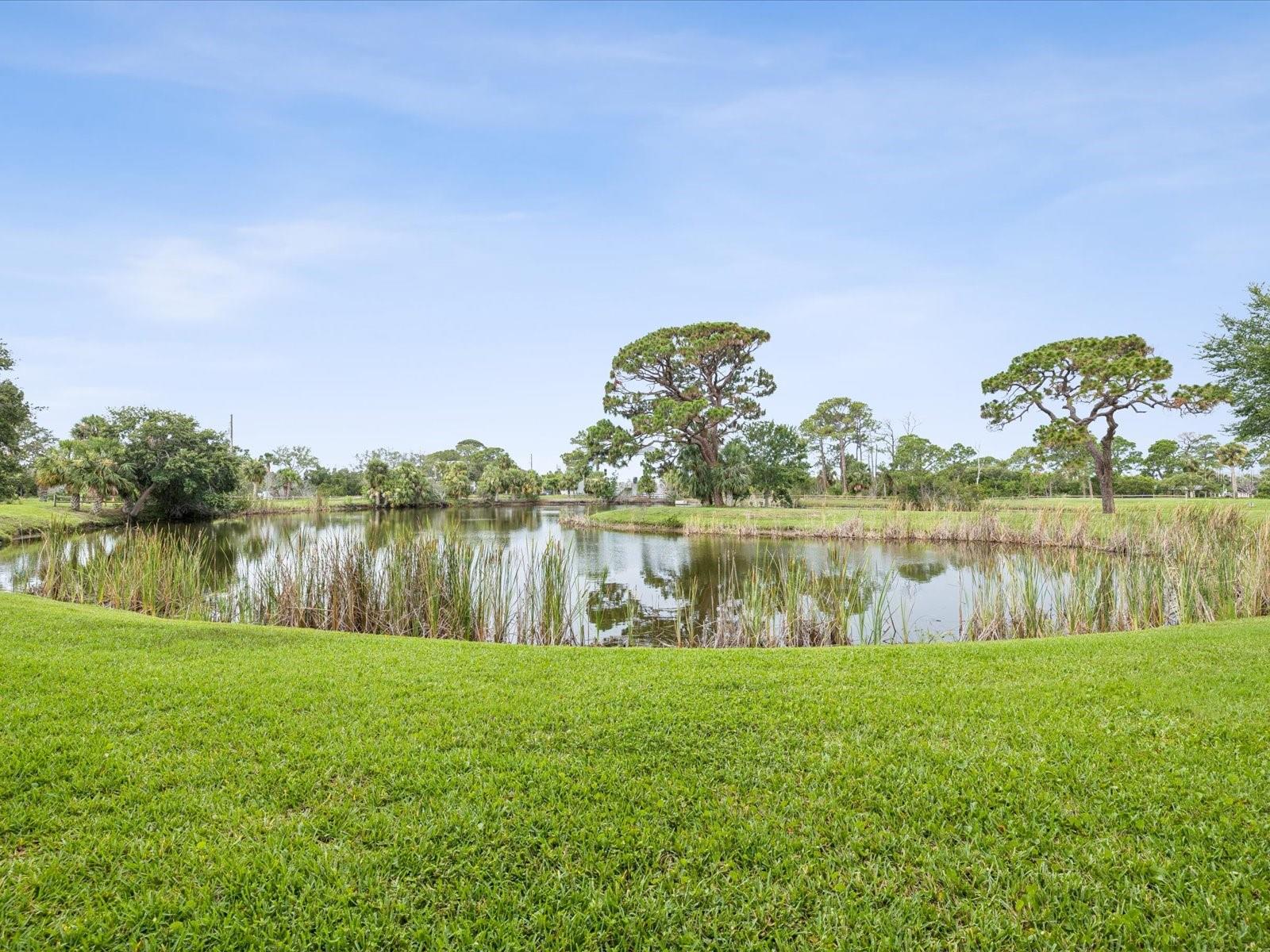 SUNSET BAY TARPON SPGS - Residential Lease