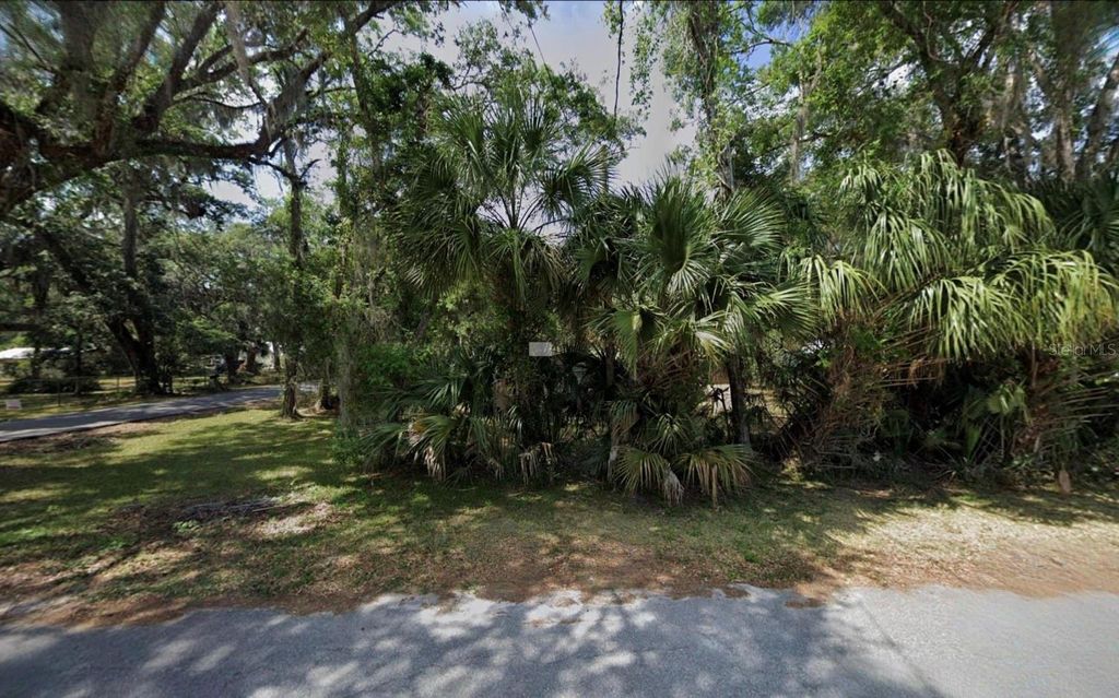 Photo of Unassigned, Lake Panasoffkee, FL 33538 (MLS # TB8484173)