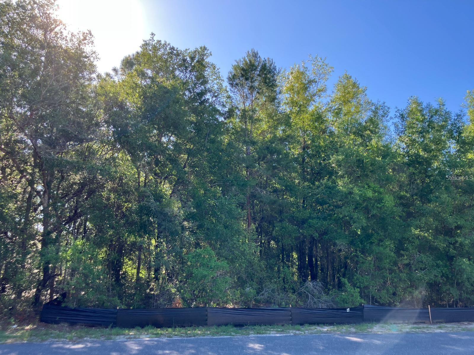 CITRUS SPGS UNIT 13 - Land