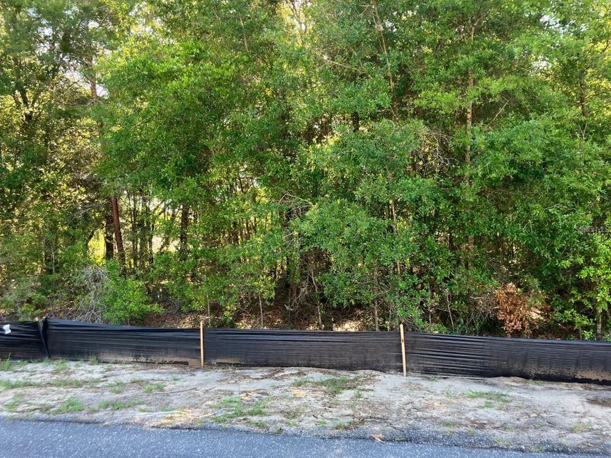 Explore the potential of this fantastic .23-acre vacant land in the tranquil Citrus Springs community. This spacious lot residential lot measures 80 by 125 feet and is an ideal canvas for your future home or investment, offering a peaceful setting in a family-friendly area. Outside the flood zone, with no wetlands and no endangered species on site. Citrus County, Citrus Springs is a rural residential subdivision. Just minutes from the shops on N Florida Avenue and Rainbow Springs River, 30 minutes to the beach, also nearby schools and the Withlacoochee Trail. No HOA. This is a wonderful opportunity to invest in a growing area!