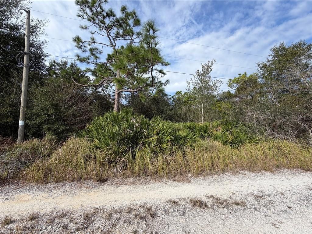 Photo of 1305 N Roberts Road, Avon Park, FL 33825 (MLS # L4959423)