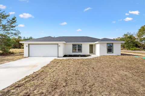 2 FISHER LANE TRAIL OCKLAWAHA FL 32179