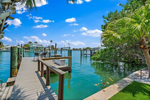 A home in ST PETE BEACH